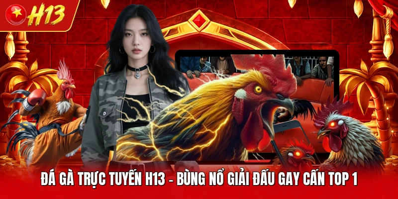 Đá Gà Trực Tuyến H13 - Bùng Nổ Giải Đấu Gay Cấn Top 1