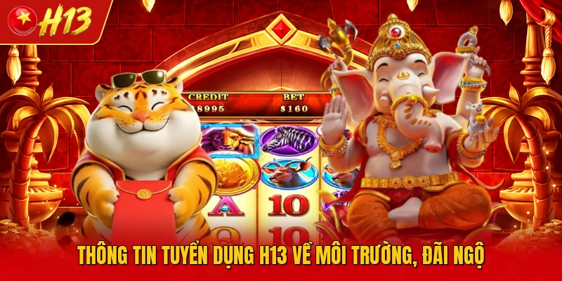 Thông tin tuyển dụng H13 về môi trường, đãi ngộ